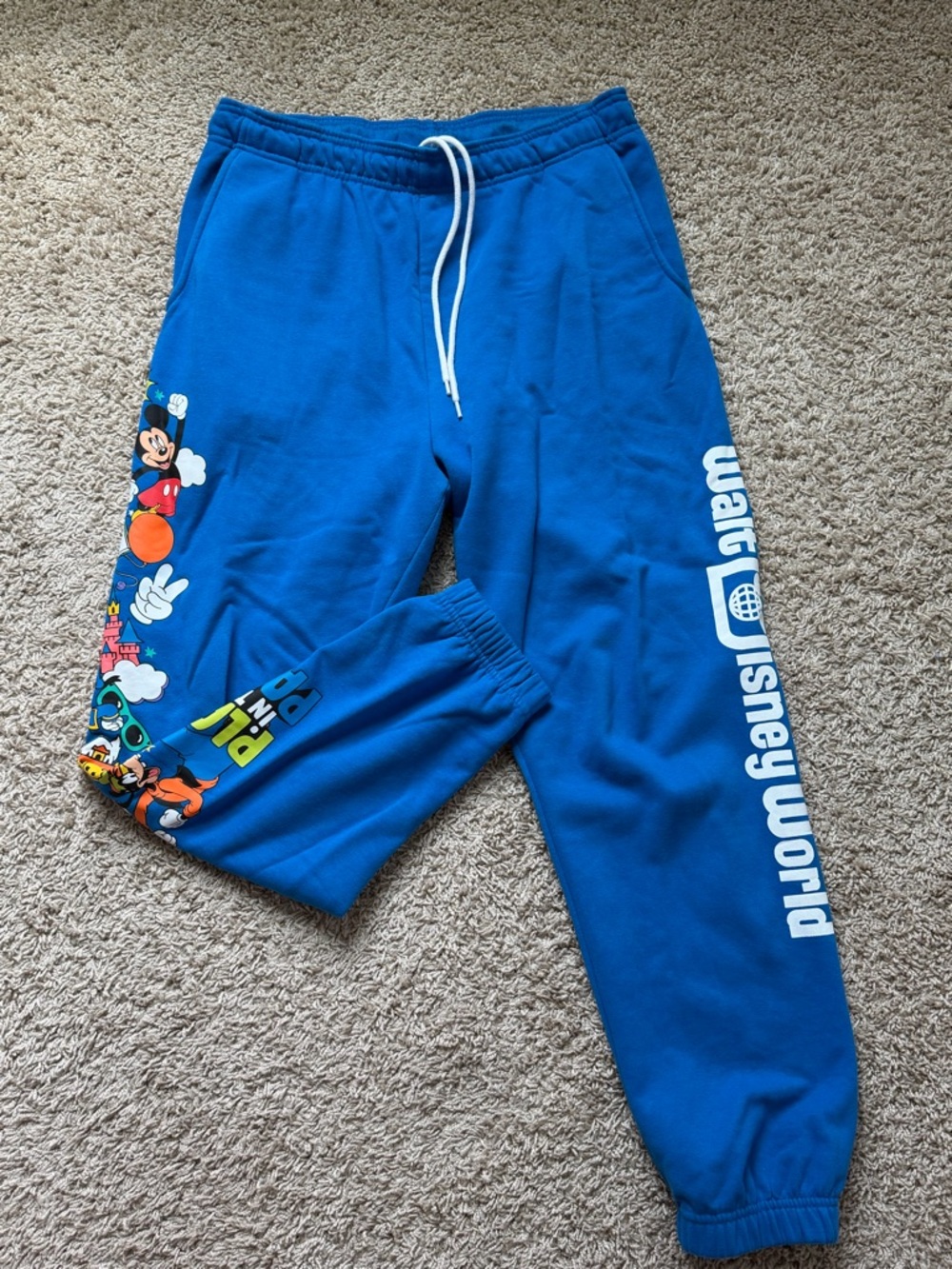 Disney World Park Blue Jogger Sweatpants